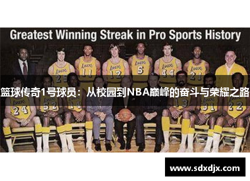 篮球传奇1号球员：从校园到NBA巅峰的奋斗与荣耀之路